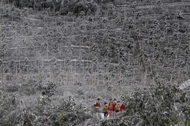 Các em học sinh đi qua những cánh đồng phủ đầy tro bụi núi lửa khi trên đường trở về nhà ở làng Kuta Rakyat, quận Karo