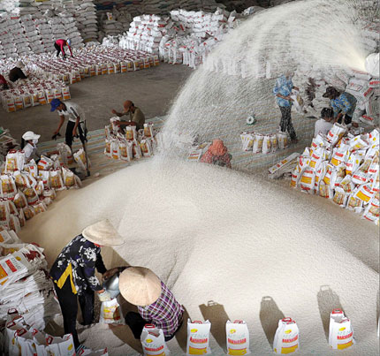  Việt Nam thắng thầu cung cấp 500.000 tấn gạo vào Philippines. Toàn bộ khối lượng lô hàng sẽ được bàn giao trong vòng 3 tháng với giá 462,25 USD/tấn 
