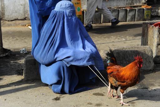 Một người phụ nữ bán một con gà trống trên chợ ở Kabul - Afghanistan