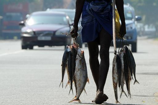 Một cần thủ sau buổi câu cá ở Colombo