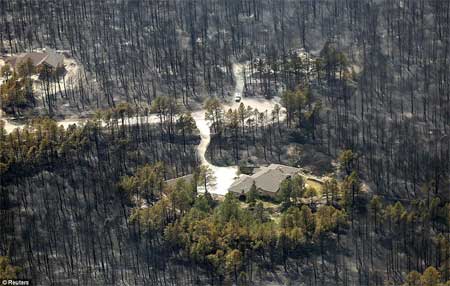 Một ngôi nhà may mắn không hề hấn gì trong khi cây cối xung quanh bị thiêu trụi trong vụ cháy rừng ở Colorado hôm 13/6.