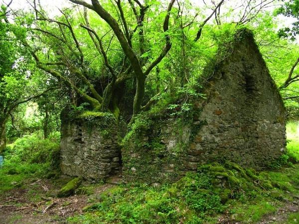 Những ngôi làng hẻo lánh, bị bỏ hoang năm dọc con đường Kerry ở IrelIreland