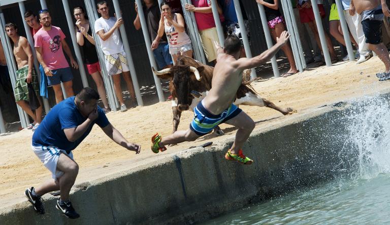 Những người đàn ông nhảy xuống biển để tránh cú húc của chú bò tót trong lễ hội Bous a la ba tại bến cảng Denia, gần Alicante, Tây Ban Nha