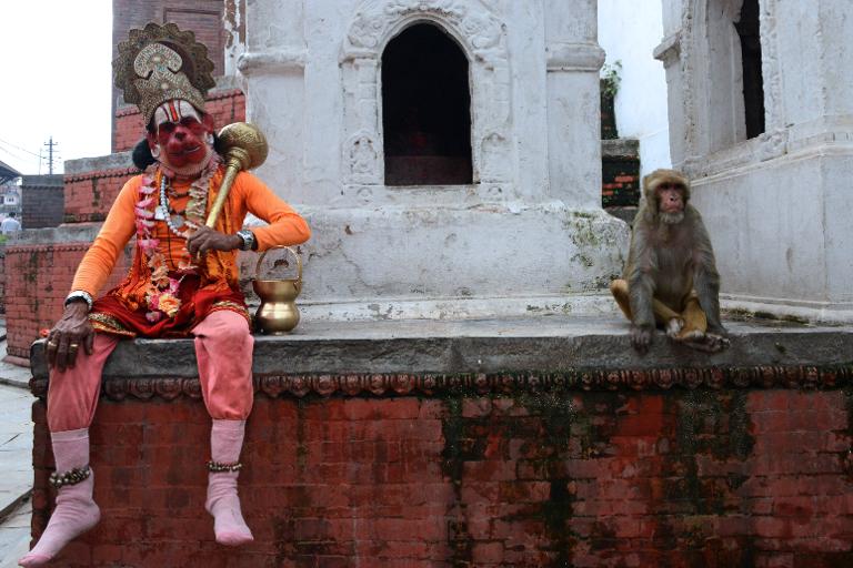 Vị thầy tu hóa trang như một vị thần Hindu, ngồi cạnh một chú khỉ ở khu vực đền Pashupatinath, Kathmandu, Nepal