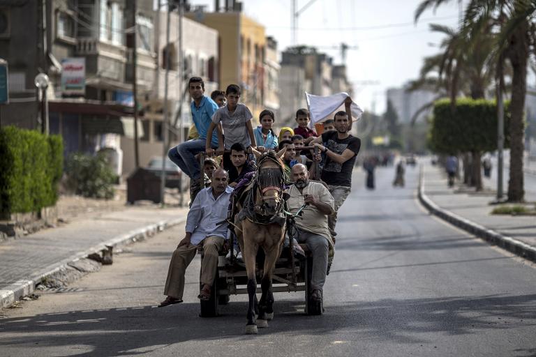 Một con ngựa kéo xe chở người Palestine di dời từ các huyện phía bắc Beit Ha-nun tới Beit Lahia tránh những cuộc giao tranh quyết liệt của quân đội