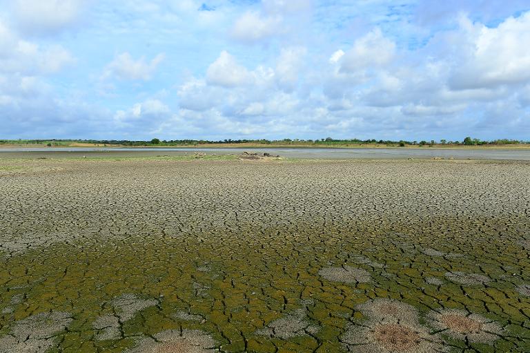 Một đập thủy lợi bị khô cạn ở miền nam Sri Lanka, hậu quả của đợt nắng nóng kéo dài