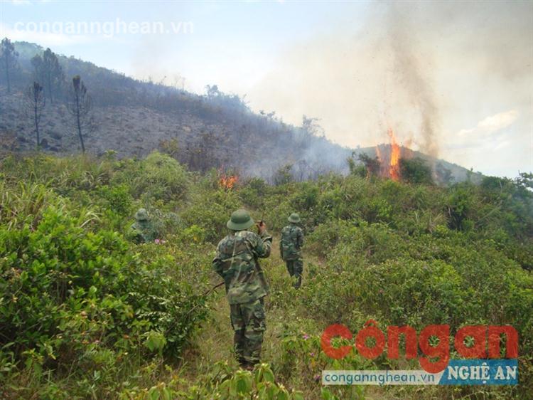 Cán bộ chiến sĩ Lữ đoàn 414  trong một đợt chữa cháy rừng tại Nam Đàn