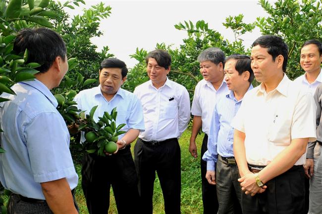 Đồng chí Nguyễn Xuân Đường, Chủ tịch UBND tỉnh                cùng đoàn công tác thăm mô hình trồng cam                                     ở huyện Nghĩa Đàn - Ảnh: P.V