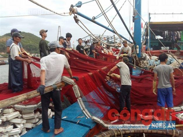 Ngư dân huyện Quỳnh Lưu chuẩn bị phương tiện  đánh bắt thủy, hải sản