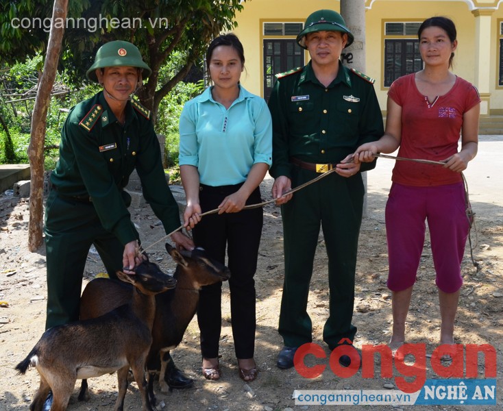  Đồn Biên phòng Tam Hợp và chính quyền địa phương tặng dê giống cho hộ nghèo tại bản Văng Môn, xã Tam Hợp, huyện Tương Dương, tỉnh Nghệ An