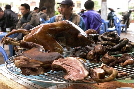 Người nước ngoài không hiểu vì sao dân Việt Nam lại thích ăn thịt chó - loài vật rất gần gũi