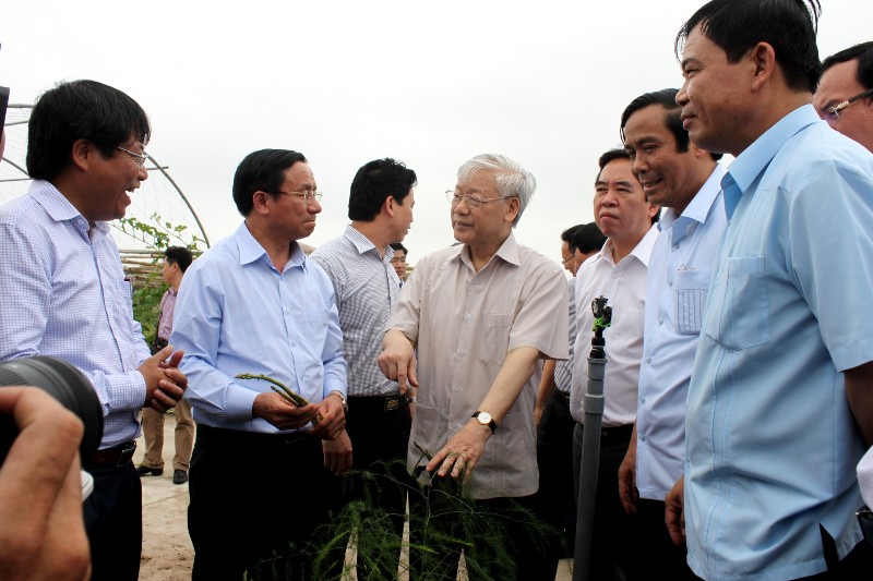 Tổng Bí thư Nguyễn Phú Trọng và Đoàn Công tác Trung ương tham quan Dự án trồng rau, củ, quả công nghệ cao trên cát hoang hóa tại xã Thạch Văn (Thạch Hà) của Mitraco Hà Tĩnh.