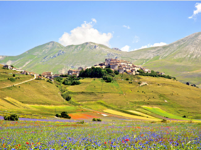 Nằm gần thành phố Norcia tại vùng Umbria ở Italia, thị trấn nhỏ Castellucio di Norcia nổi tiếng với những cánh đồng hoa rực rỡ sắc màu vào khoảng thời gian cuối tháng 5 và đầu tháng 6
