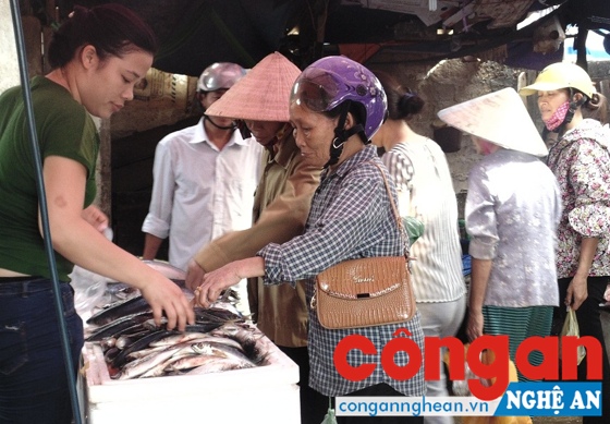 Các điểm hải sản sạch tại Chợ Sơn nhanh chóng thu hút khách hàng