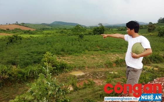 Mảnh đất của gia đình anh Nguyễn Đình Thích đang xảy ra tranh chấp với UBND xã Tân Thắng dưới chân tràn Khe Lại