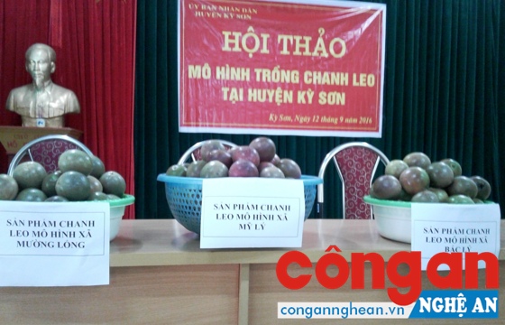 Quả chanh leo được trưng bày tại Hội thảo mô hình trồng chanh leo ở huyện Kỳ Sơn