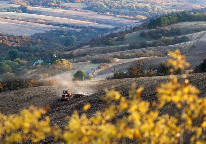 Chiếc máy kéo đang làm việc trên cánh đồng gần làng Klinovka, Simferopol, bán đảo Crimea. Ảnh: Sputnik