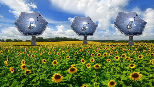 Trên thế giới có đến 500.000 tấm pin mặt trời mới được lắp đặt mới mỗi ngày. Nguồn ảnh: sciencealert
