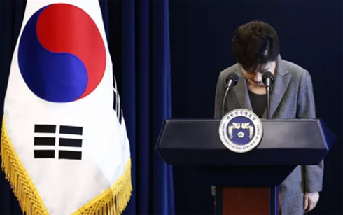 Tổng thống Hàn Quốc Park Geun-hye cúi đầu xin lỗi người dân vì bê bối liên quan đến những người thân cận thời gian gần đây. (Ảnh: AP)