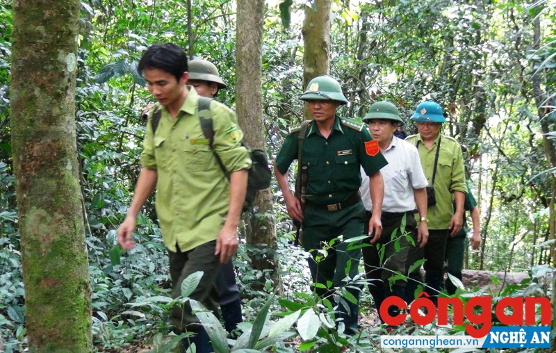 Lực lượng Quân sự, Kiểm lâm phối hợp tuần tra bảo vệ rừng trong Khu Bảo tồn thiên nhiên Pù Hoạt (Quế Phong)