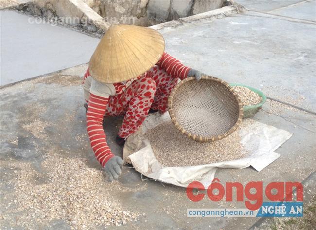 Diêm dân xã  Quỳnh Thọ, huyện Quỳnh Lưu                                   chuẩn bị sân phơi để làm muối