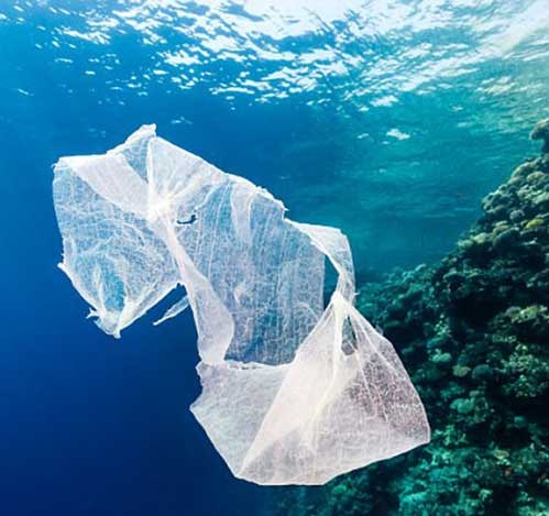 Ngày càng có nhiều chất thải nhựa trong đại dương (Ảnh: Shutterstock)