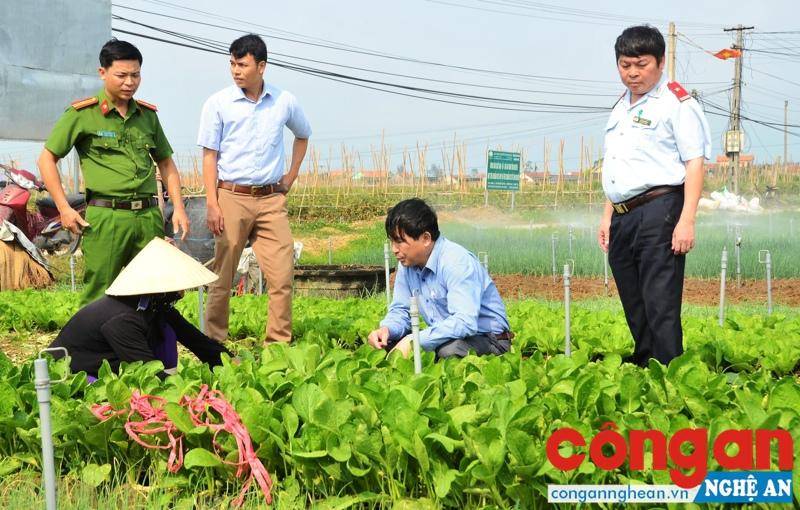 Đoàn liên ngành UBND tỉnh kiểm tra việc chấp hành các quy định sản xuất rau an toàn của người dân xã Quỳnh Lương, huyện Quỳnh Lưu