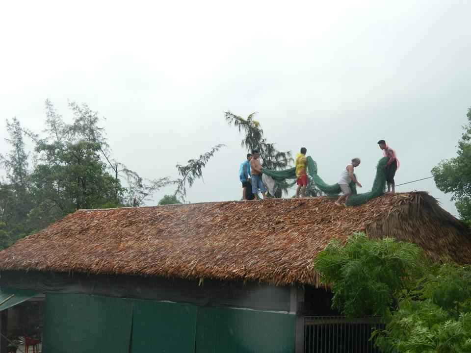 Ngư dân phủ lưới lên mái nhà để tránh bị tốc mái