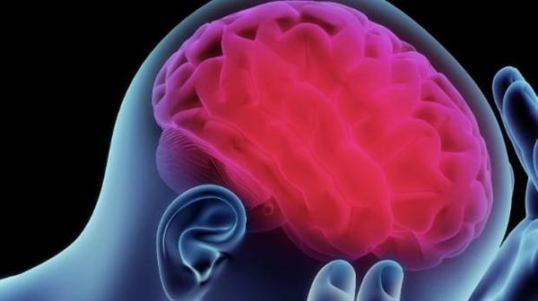 Não nhân tạo mi-ni mở ra hướng điều trị mới cho các bệnh nhân bị tổn thương não.