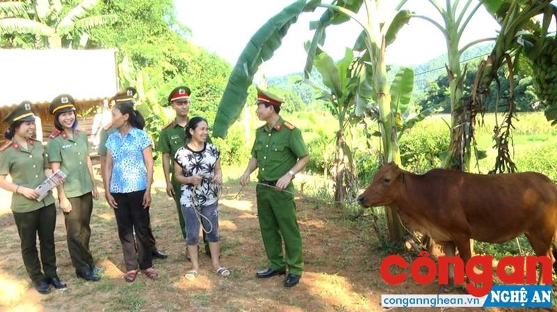 Thượng tá Bùi Minh Quang, Phó Trưởng Công an huyện Quế Phong cùng cán bộ địa phương bàn giao bò cho gia đình chị Len