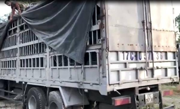 Xe tải chở 500 chiếc lốp ôtô không rõ nguồn gốc bị lực lượng CSGT bắt giữ