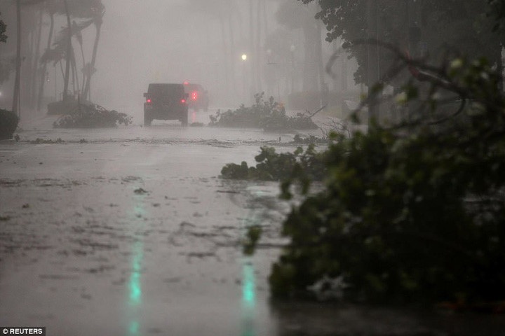 Cành cây rơi vãi do gió lốc trên đường phố Miami vào ngày 10/9. Ảnh: Reuters.