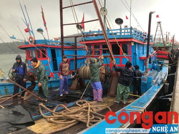 Ngư dân Nghệ An đưa tàu thuyền vào neo đậu an toàn