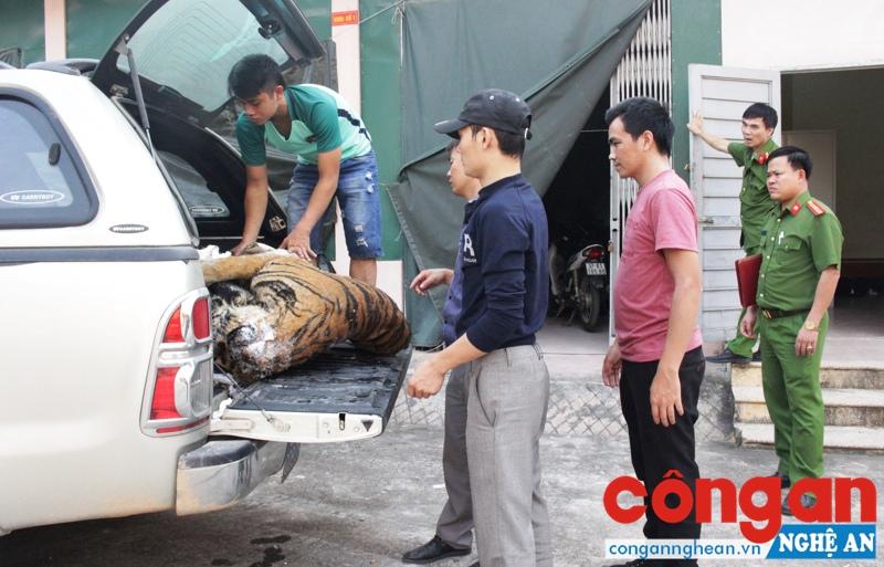 Lực lượng Cảnh sát Môi trường bàn giao tang vật trong vụ tàng trữ động vật hoang dã