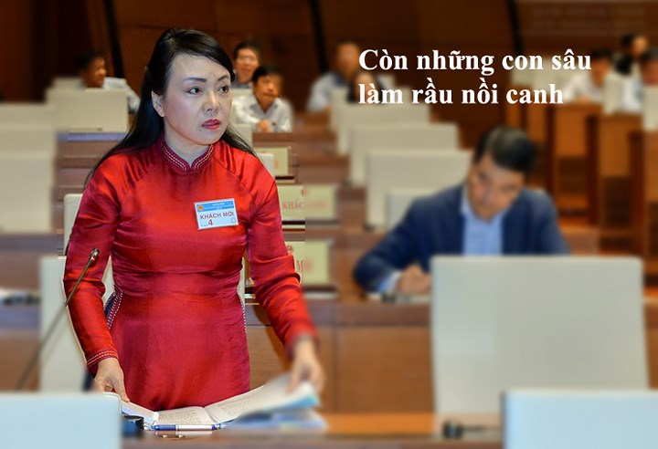 Bộ trưởng Bộ Y tế Nguyễn Thị Kim Tiến khi trả lời chất vấn của đại biểu về thái độ phục vụ chưa tốt, lời lẽ khiếm nhã, thiếu tôn trọng, thậm chí xúc phạm bệnh nhân đã thừa nhận: 