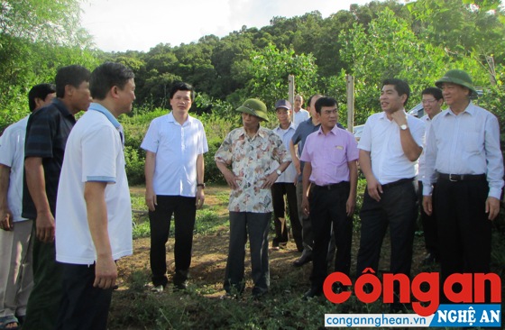 Lãnh đạo huyện Con Cuông giới thiệu mô hình cây dược liệu tại xã Chi Khê với đoàn công tác Trung ương về thăm và làm việc tại địa phương (tháng 8/2017) - Ảnh: Bá Hậu