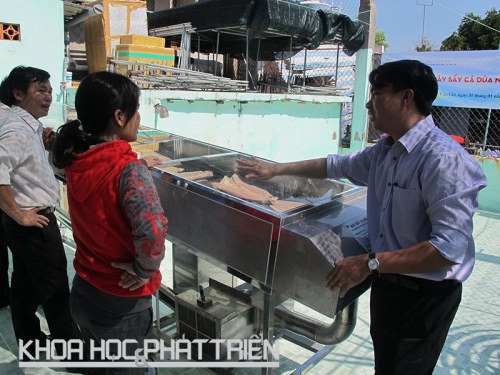 Máy sấy cá dứa được lắp đặt tại Cần Giờ, TP Hồ Chí Minh. Ảnh: K. Anh