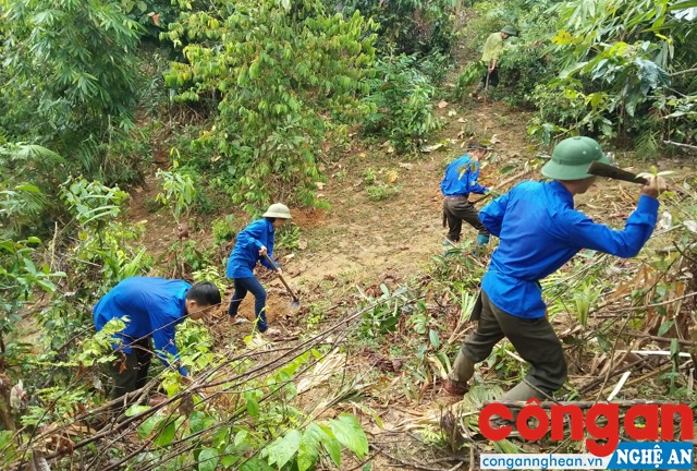 Đoàn viên, thanh niên Ban quản lý Khu Bảo tồn thiên nhiên Pù Hoạt, huyện Quế Phong tham gia phát dọn thực bì - Ảnh: Lê Xinh