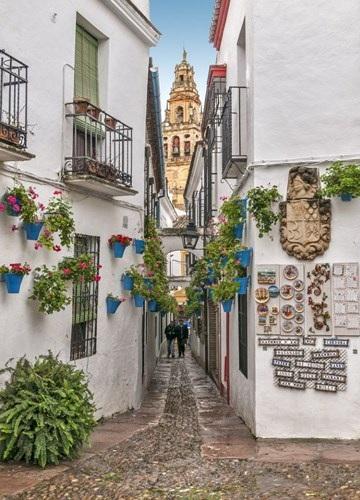 Yên bình một con phố tại Cordoba, Tây Ban Nha.