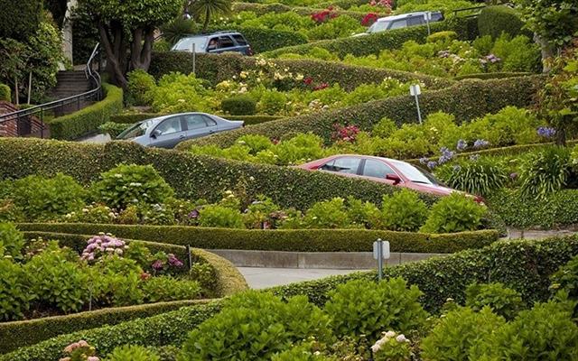 Mọi tài xế đều sẽ rất thích thú với con đường quanh co và đầy hoa này tại San Francisco, California, Mỹ.