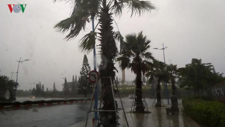 Đến 11h trưa 25/11, TP Vũng Tàu đã bớt mưa
