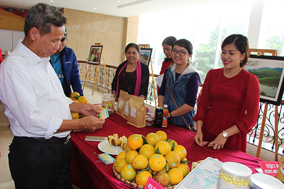 Đông đảo đại biểu và các doanh nghiệp, hợp tác xã tham dự hội nghị cung cầu sản phẩm hàng hóa tại Nghệ An