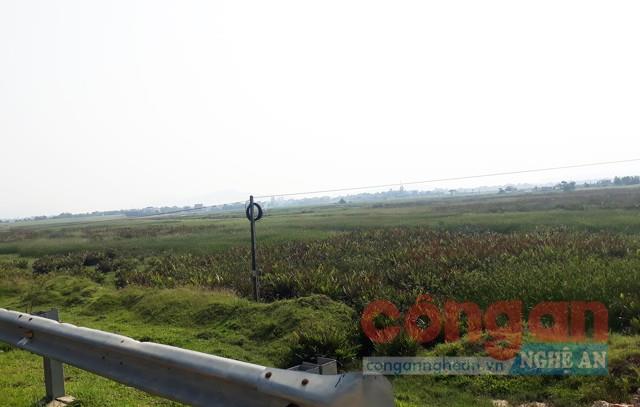 Dự án “treo” chiếm 50% đất ở, 70% đất nông nghiệp của xã Hưng Hòa