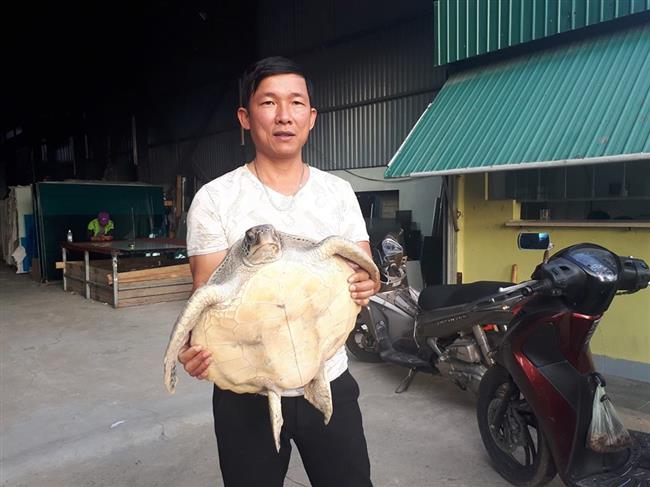 Anh Cường và rùa quý nặng 10kg