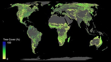 Màu xanh biểu thị các nơi trên thế giới có thể trồng các khu rừng mới, không tính các khu rừng, đô thị và đất nông nghiệp hiện có.